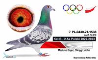Pokaż zdjęcie w powiększeniu Gołębie zdjęcie